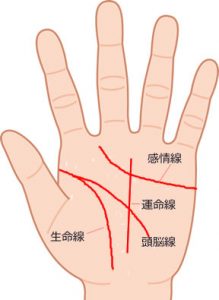 手相の4大基本線