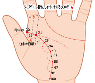 手相占い 生命線の太さ 形の意味をパターン別でご紹介 Lumy