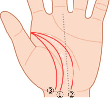 手相占い 生命線の太さ 形の意味をパターン別でご紹介 Lumy
