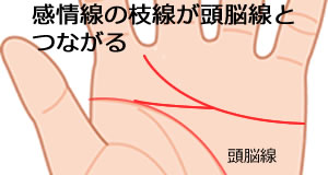 手相占い 感情線の長さや枝分かれの意味27選 恋愛の傾向も Lumy