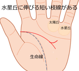 手相占い 頭脳線の見方33選 長い 短い 二本 枝分かれの意味とは Lumy
