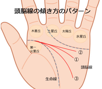 手相占い 頭脳線の見方33選 長い 短い 二本 枝分かれの意味とは Lumy