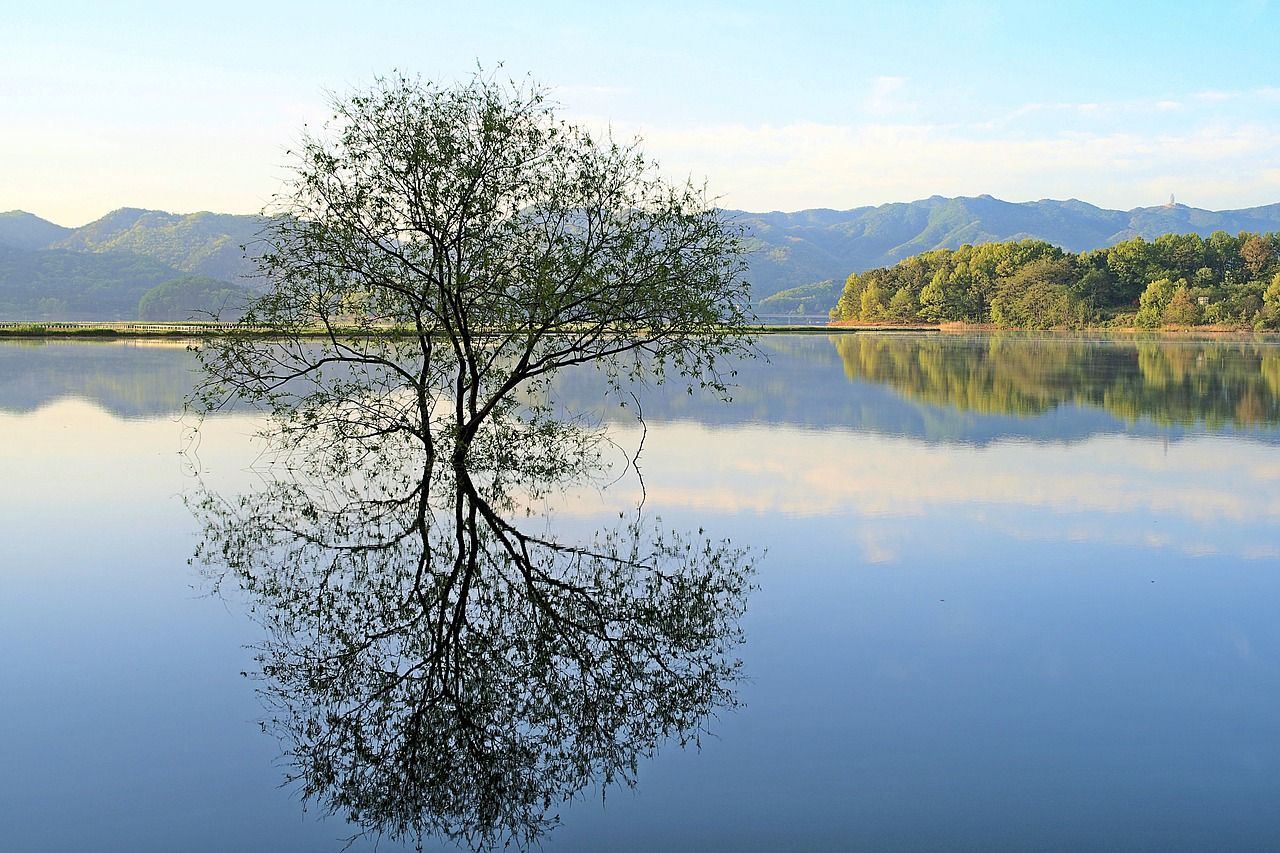 夢占い 湖